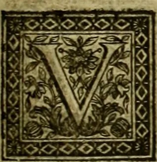 An illustration from Arsacidarum imperium, sive, Regum Parthorum historia : ad fidem numismatum accommodata, 1725, leaf 340