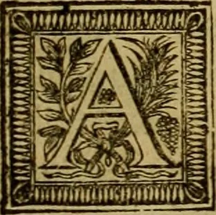 An illustration from Arsacidarum imperium, sive, Regum Parthorum historia : ad fidem numismatum accommodata, 1725, leaf 460