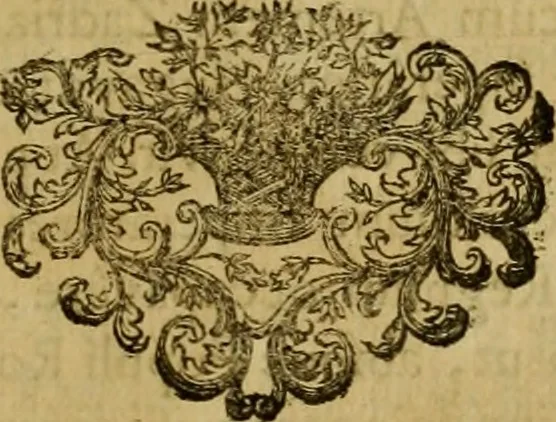 An illustration from Arsacidarum imperium, sive, Regum Parthorum historia : ad fidem numismatum accommodata, 1725, leaf 488