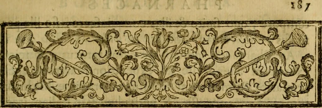 An illustration from Arsacidarum imperium, sive, Regum Parthorum historia : ad fidem numismatum accommodata, 1725, leaf 208