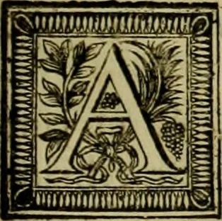 An illustration from Arsacidarum imperium, sive, Regum Parthorum historia : ad fidem numismatum accommodata, 1725, leaf 228