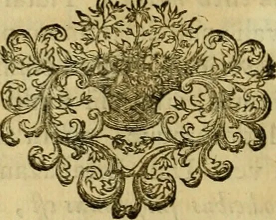 An illustration from Arsacidarum imperium, sive, Regum Parthorum historia : ad fidem numismatum accommodata, 1725, leaf 29