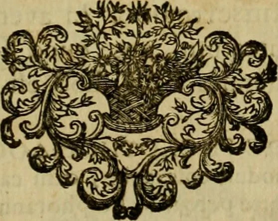 An illustration from Arsacidarum imperium, sive, Regum Parthorum historia : ad fidem numismatum accommodata, 1725, leaf 304