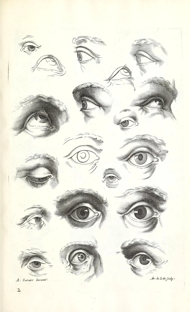 An illustration from Ars pictoria: or An academy treating of drawing, painting, limning, etching. To which are added XXXI. copper plates, expressing the choicest, nearest, and most exact grounds and rules of symmetry. Collected out of the most eminent Italian, German, and Netherland authors. By Alexander Browne, practitioner in the art of limning, 1675, leaf 175