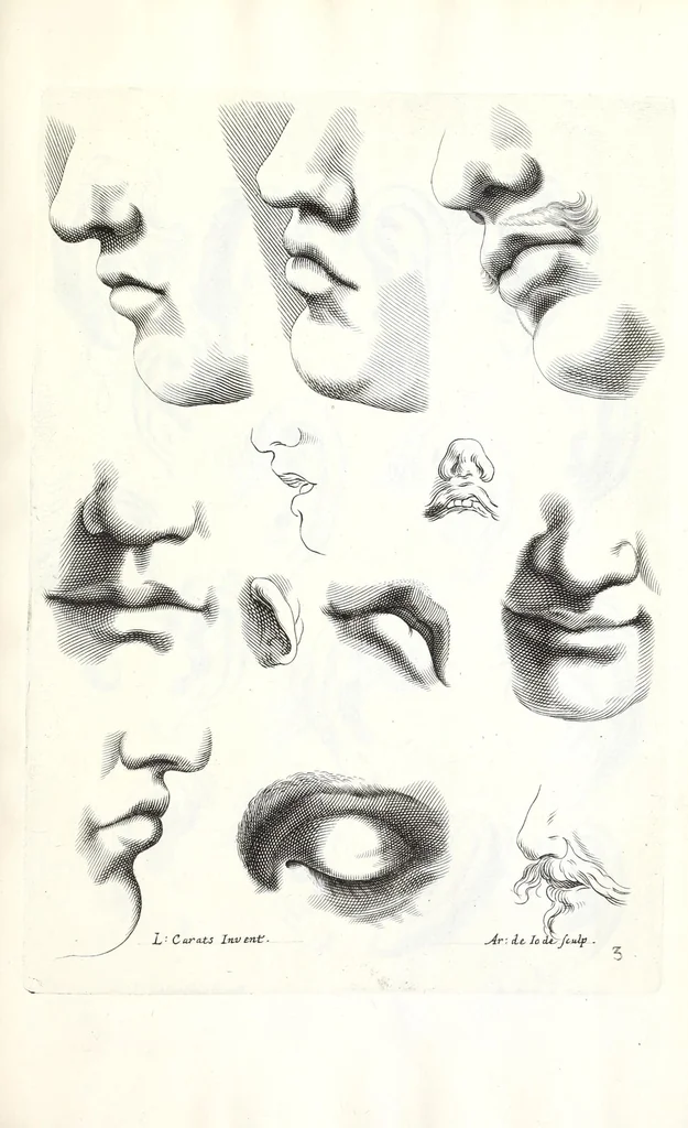 An illustration from Ars pictoria: or An academy treating of drawing, painting, limning, etching. To which are added XXXI. copper plates, expressing the choicest, nearest, and most exact grounds and rules of symmetry. Collected out of the most eminent Italian, German, and Netherland authors. By Alexander Browne, practitioner in the art of limning, 1675, leaf 177