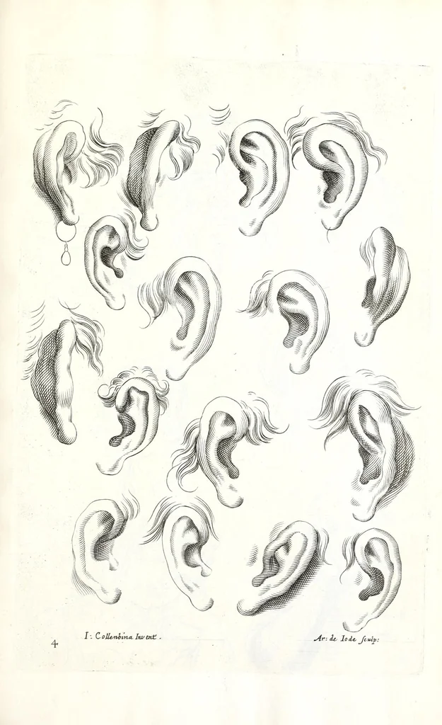 An illustration from Ars pictoria: or An academy treating of drawing, painting, limning, etching. To which are added XXXI. copper plates, expressing the choicest, nearest, and most exact grounds and rules of symmetry. Collected out of the most eminent Italian, German, and Netherland authors. By Alexander Browne, practitioner in the art of limning, 1675, leaf 179