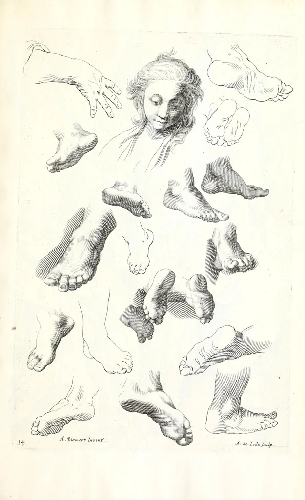 An illustration from Ars pictoria: or An academy treating of drawing, painting, limning, etching. To which are added XXXI. copper plates, expressing the choicest, nearest, and most exact grounds and rules of symmetry. Collected out of the most eminent Italian, German, and Netherland authors. By Alexander Browne, practitioner in the art of limning, 1675, leaf 199