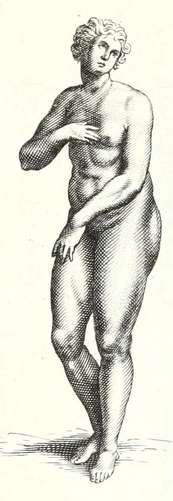 An illustration from Ars pictoria: or An academy treating of drawing, painting, limning, etching. To which are added XXXI. copper plates, expressing the choicest, nearest, and most exact grounds and rules of symmetry. Collected out of the most eminent Italian, German, and Netherland authors. By Alexander Browne, practitioner in the art of limning, 1675, leaf 215