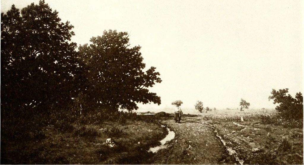 An illustration from Art and archaeology, 1914, leaf 65