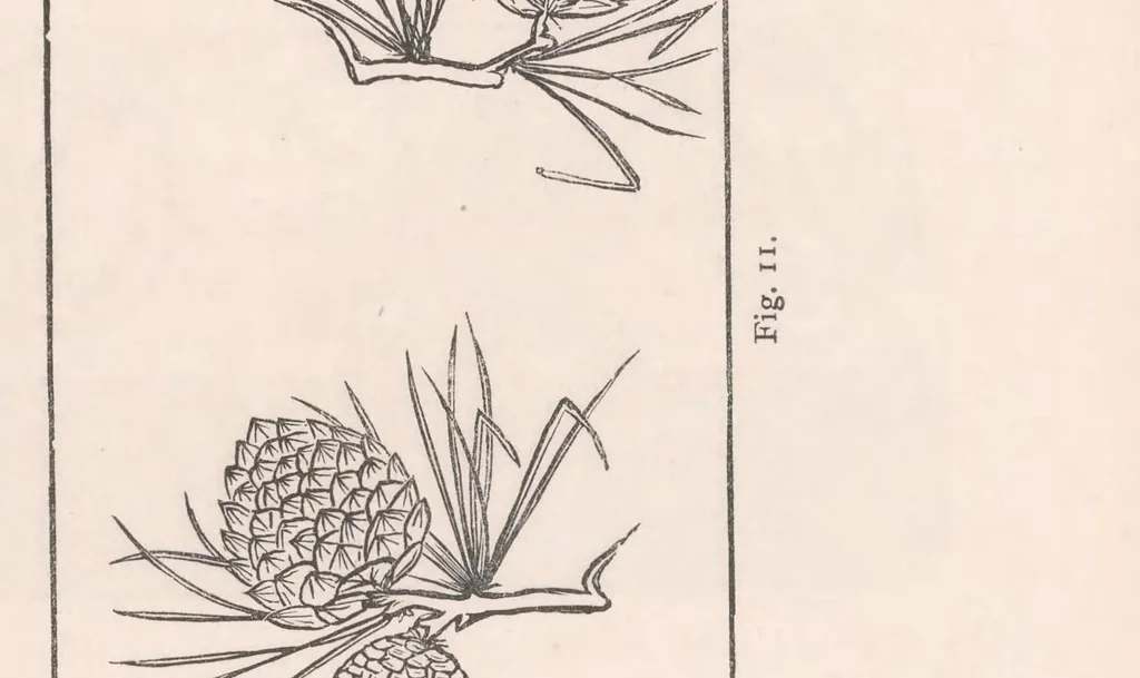 An illustration from Art and art industries in Japan, 1878, leaf 43