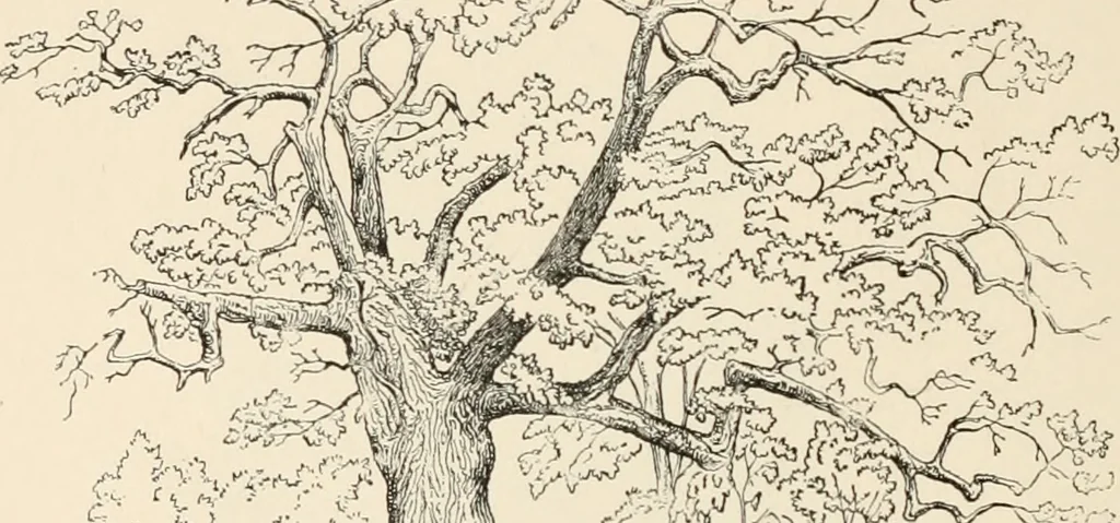 An illustration from Art and artists in Connecticut, 1879, leaf 151
