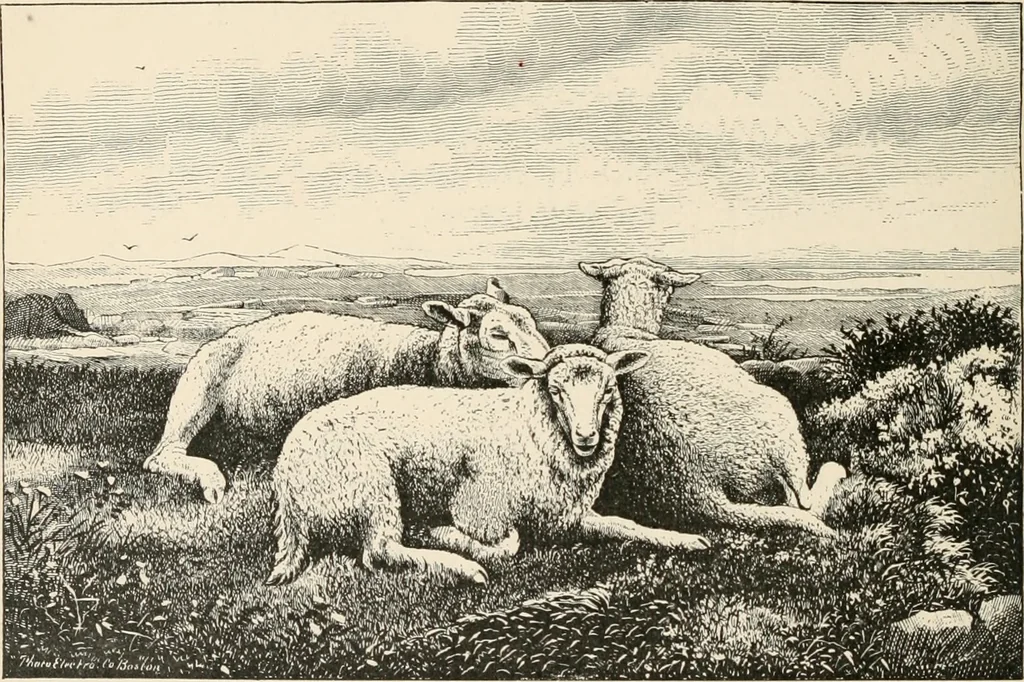 An illustration from Art and artists in Connecticut, 1879, leaf 185