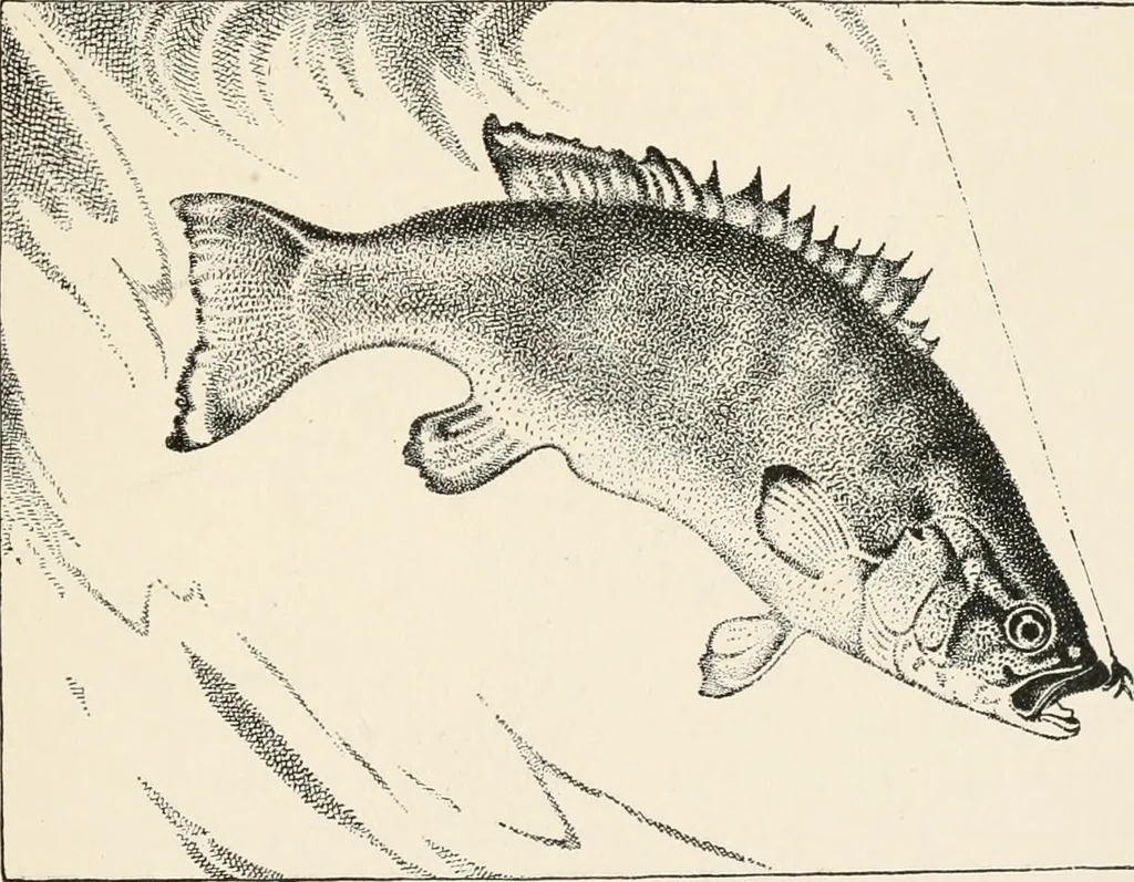 An illustration from Art and artists in Connecticut, 1879, leaf 196