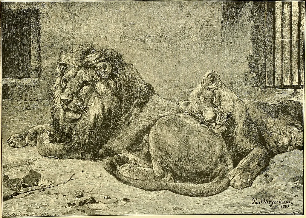 An illustration from Art and artists of our time, 1888, leaf 432