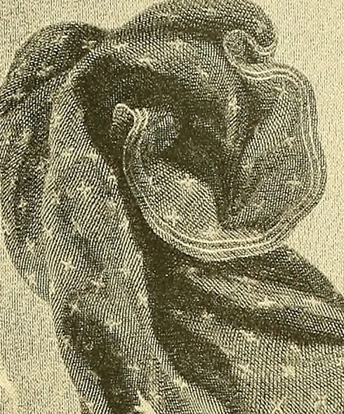 An illustration from Art and artists of our time, 1888, leaf 56
