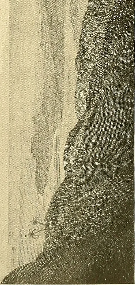 An illustration from Art and artists of our time, 1888, leaf 56