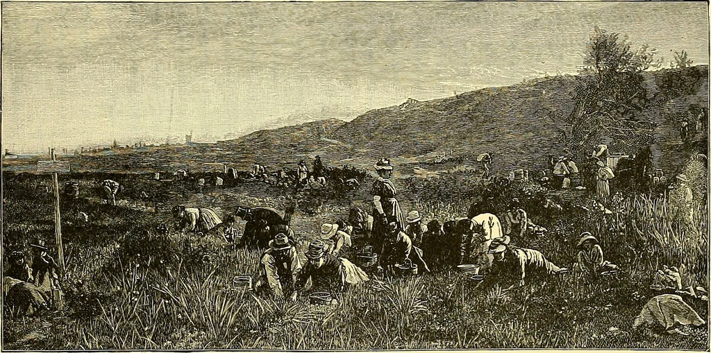 An illustration from Art and artists of our time, 1888, leaf 330