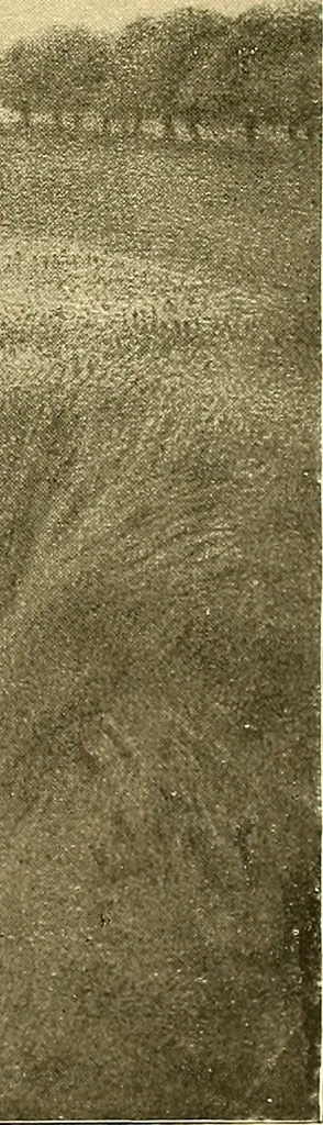 An illustration from Art and artists of our time, 1888, leaf 338