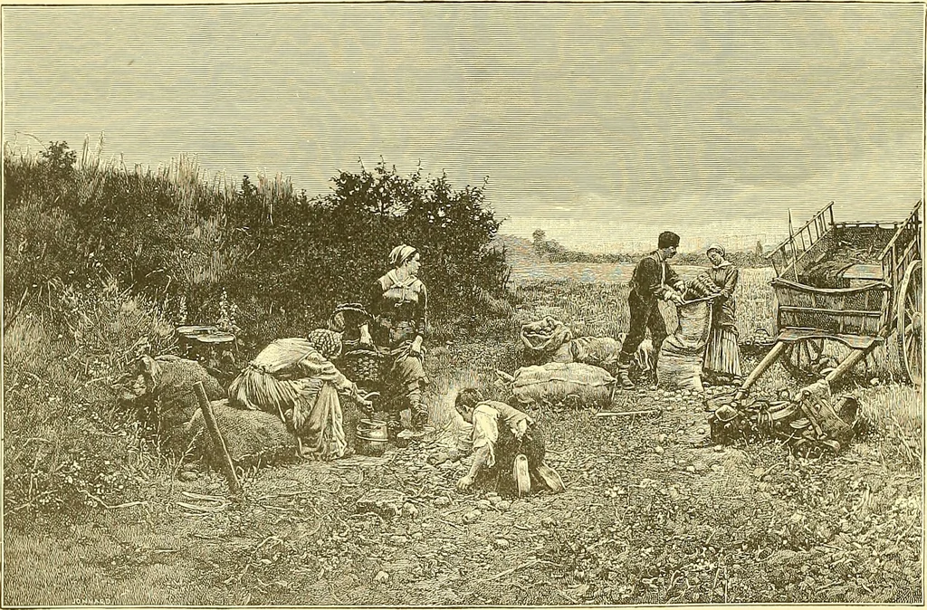 An illustration from Art and artists of our time, 1888, leaf 373
