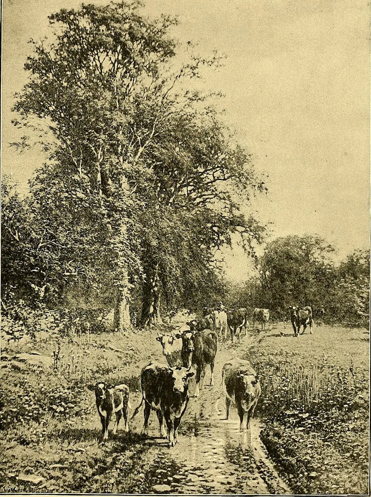 An illustration from Art and artists of our time, 1888, leaf 410