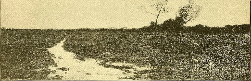 An illustration from Art and artists of our time, 1888, leaf 415