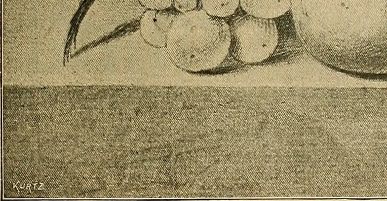 An illustration from Art and artists of our time, 1888, leaf 180