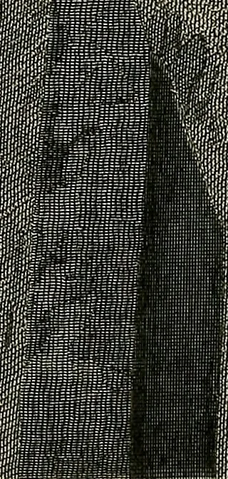 An illustration from Art and artists of our time, 1888, leaf 153