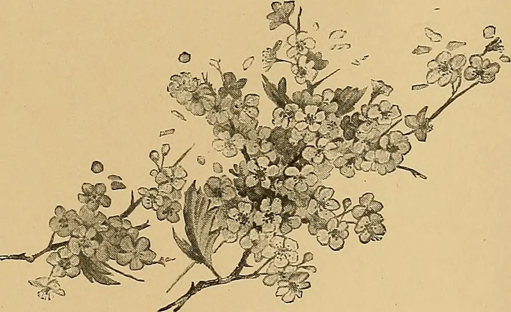 An illustration from Art and artists of our time, 1888, leaf 304