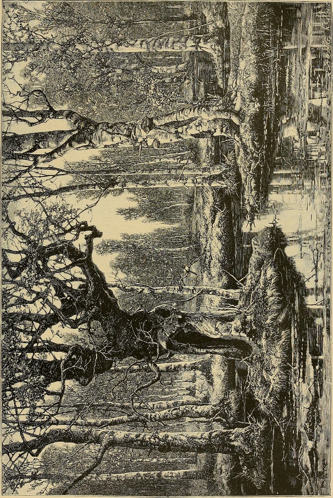 An illustration from Art and artists of our time, 1888, leaf 86