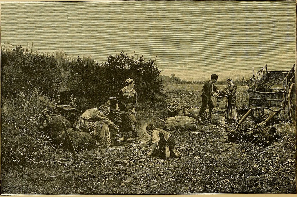 An illustration from Art and artists of our time, 1888, leaf 135