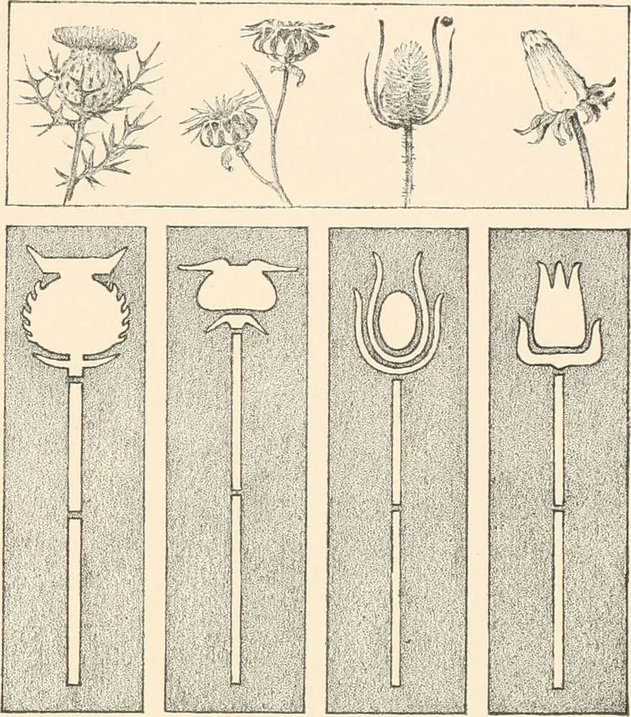 An illustration from Art catalogue : a catalogue of books and materials prepared for the promotion of art education in schools., 1911, leaf 10