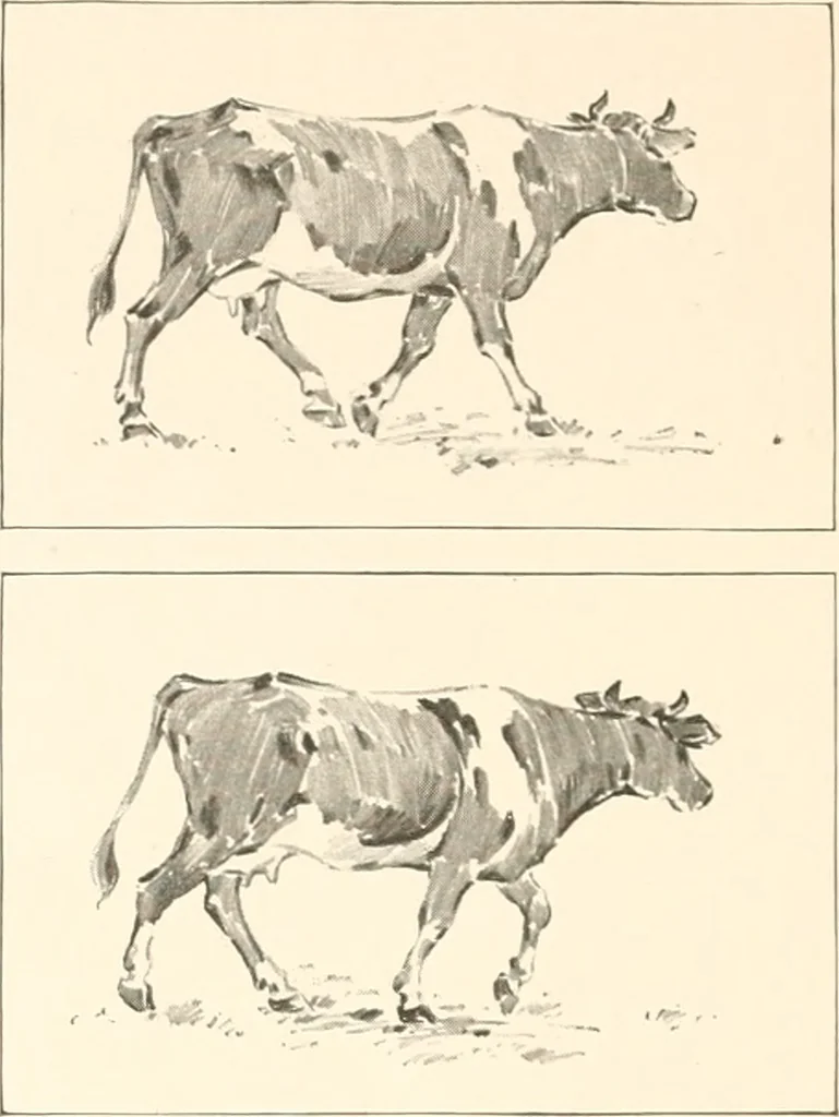 An illustration from Art catalogue : a catalogue of books and materials prepared for the promotion of art education in schools., 1911, leaf 27