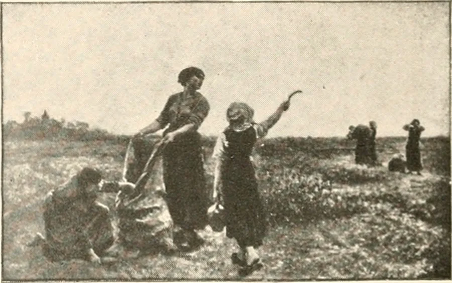 An illustration from Art catalogue : a catalogue of books and materials prepared for the promotion of art education in schools., 1911, leaf 29