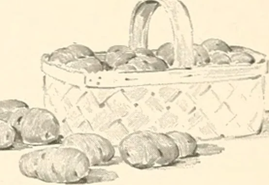 An illustration from Art catalogue : a catalogue of books and materials prepared for the promotion of art education in schools., 1911, leaf 9