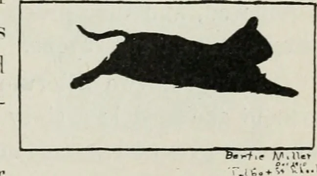 An illustration from Art, 1916, leaf 106