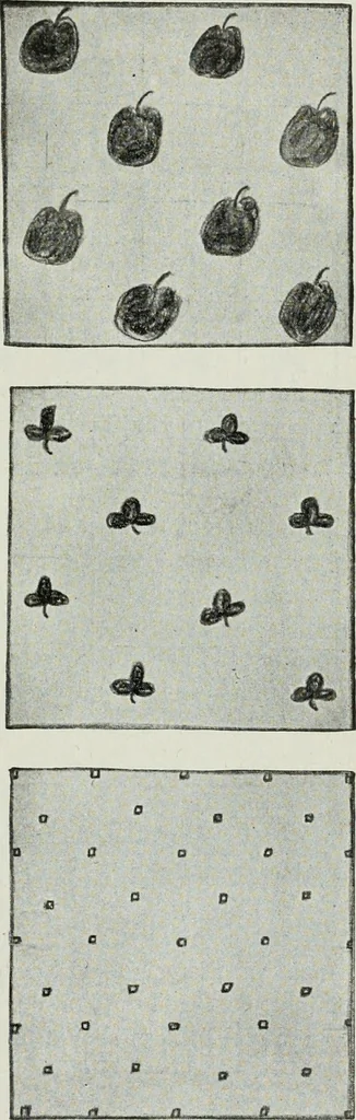 An illustration from Art, 1916, leaf 116