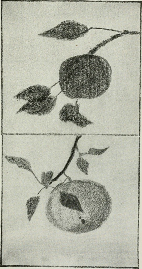 An illustration from Art, 1916, leaf 128