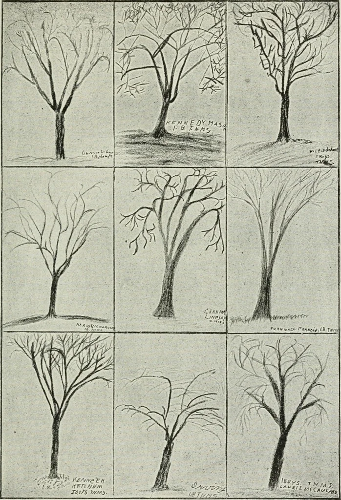 An illustration from Art, 1916, leaf 134