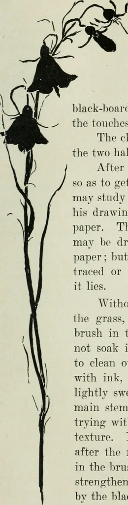 An illustration from Art, 1916, leaf 156