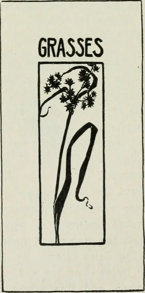 An illustration from Art, 1916, leaf 156