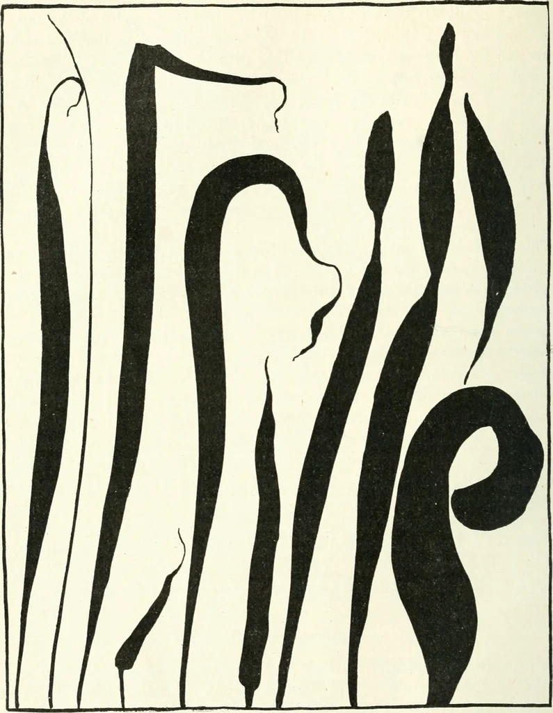 An illustration from Art, 1916, leaf 159