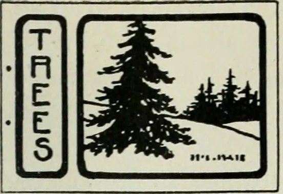 An illustration from Art, 1916, leaf 166