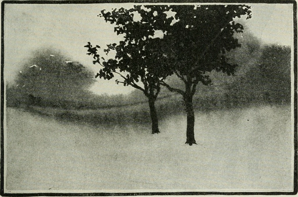 An illustration from Art, 1916, leaf 170