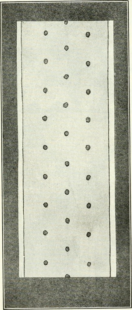 An illustration from Art, 1916, leaf 189