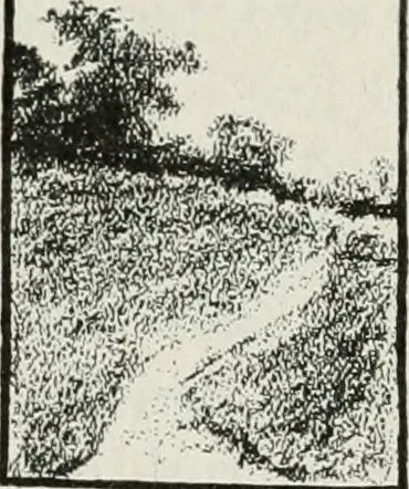An illustration from Art, 1916, leaf 194