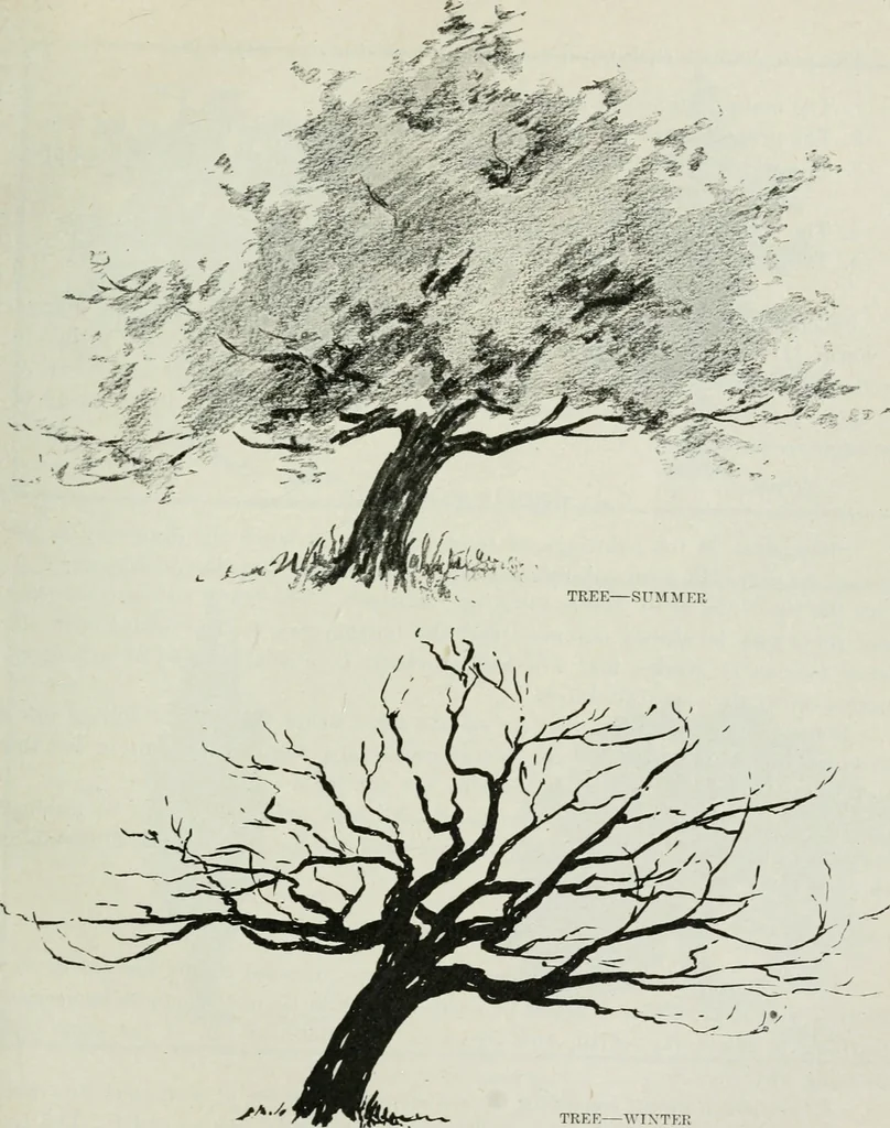 An illustration from Art, 1916, leaf 206
