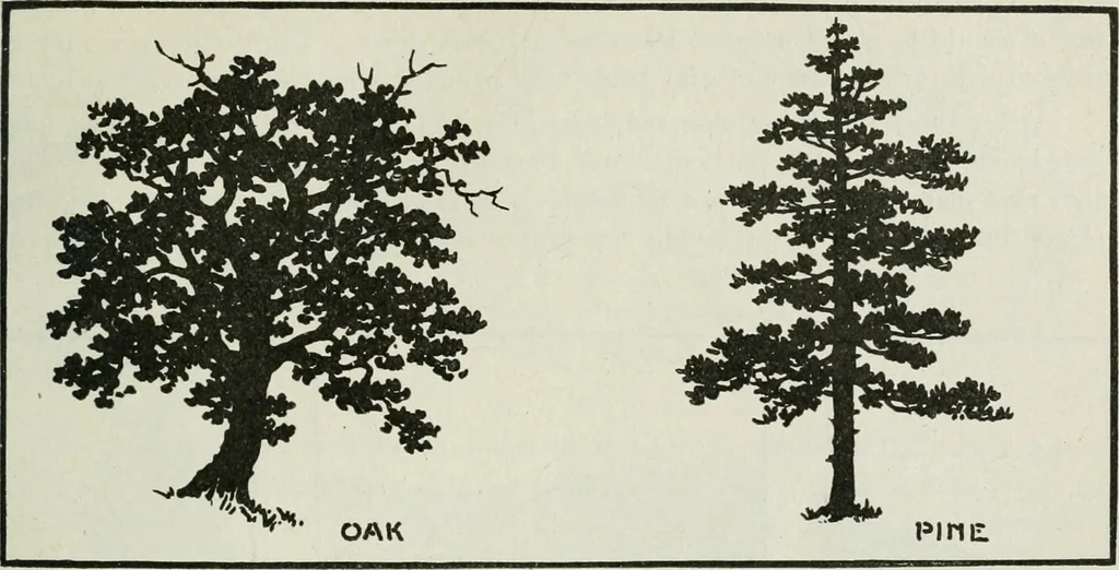 An illustration from Art, 1916, leaf 208