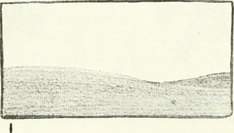 An illustration from Art, 1916, leaf 209