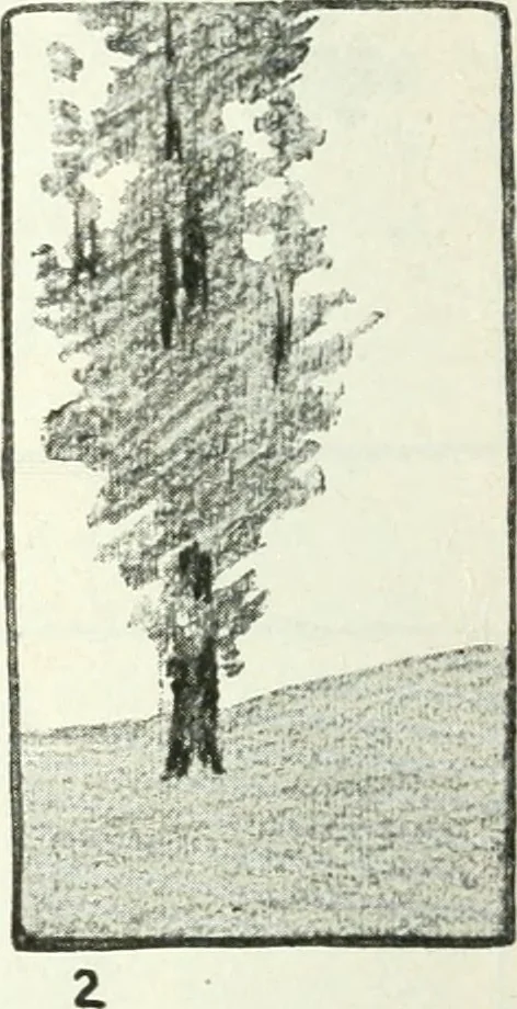 An illustration from Art, 1916, leaf 209