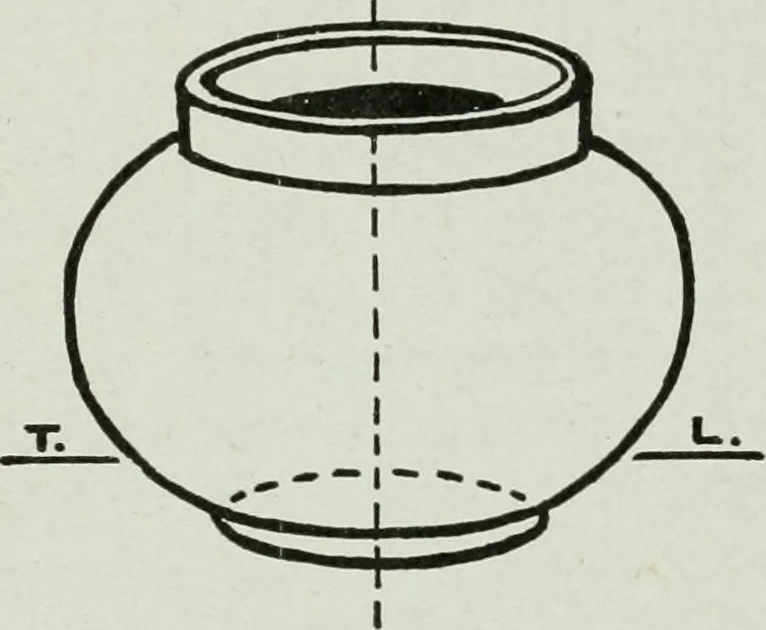 An illustration from Art, 1916, leaf 216